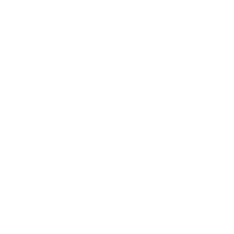 Blizina javnog prevoza